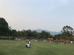 -火炉山森林公园