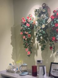 -变美丽半永久纹眉连锁·机器野生眉•洗眉