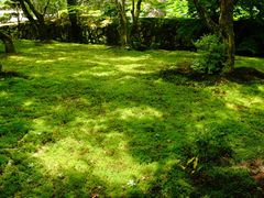 -西芳寺(苔寺)