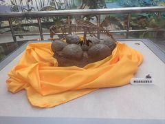 -诸城市恐龙博物馆