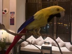 -青泰足浴·SPA养生连锁(新区店)