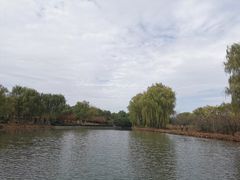 -西安浐灞国家湿地公园