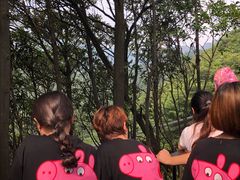 -梦幻奥陶纪景区