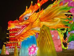 -武汉园博园(武汉自然博物馆)