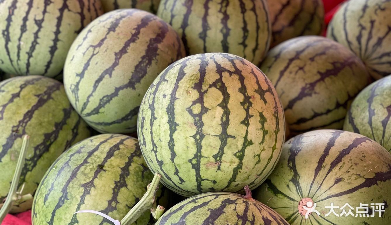今年夏天最好吃的西瓜🍉｜庞各庄买西瓜🍉新发现