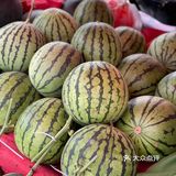 今年夏天最好吃的西瓜🍉｜庞各庄买西瓜🍉新发现
