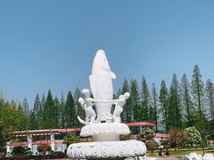 -水杉园
