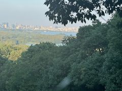 -野蔓果·山野菜(西湖景区·龙井茶田店)