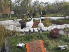 -武清南湖绿博园