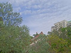 -深圳国际园林花卉博览园