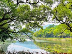 -鼎湖山风景区