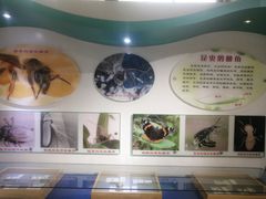 -上海昆虫博物馆