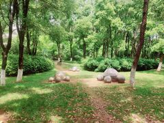 -潜山国家森林公园