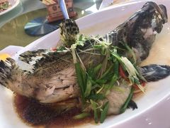 清蒸老虎斑-豪翔盛宴(罗村大道店)