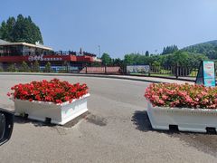 -棒棰岛宾馆景区