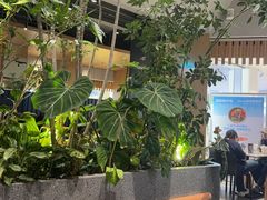 -gaga(深圳福田星河COCO Park店)