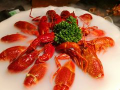 冰镇小龙虾-沪小胖小龙虾(淮海中路旗舰店)
