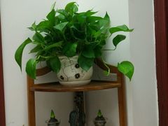 -弘智卉艺术教育/高端琴房(中央音乐学院店)