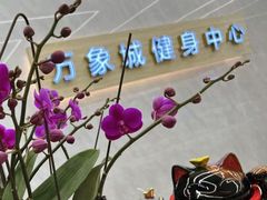 -万象城健身中心(珠海吉大免税商场店)