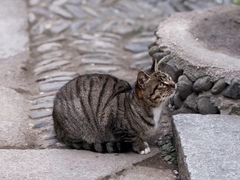 -黎阳老街
