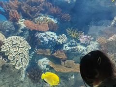 -福州罗源湾海洋世界旅游区
