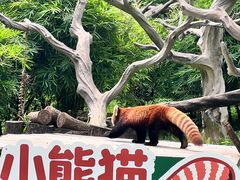 -广州动物园