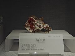 -湖南省地质博物馆