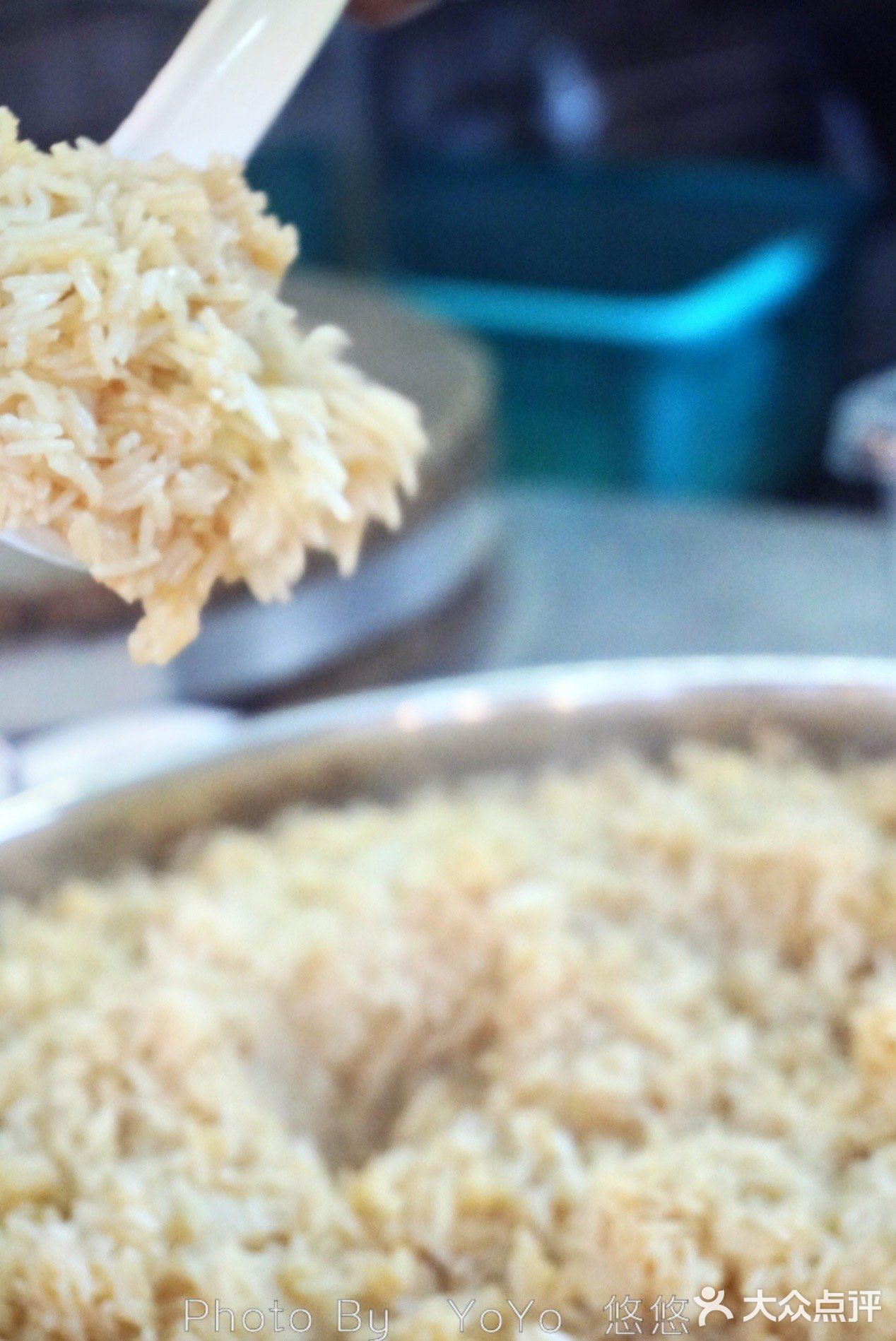 一直在三亚连续排行的萌哒哒