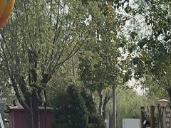 -杨柳青庄园