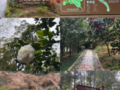-东明山森林公园