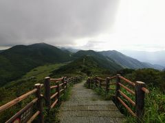 -大围山国家森林公园