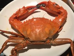 -海味当家·蒸锅海鲜(星海公园店)