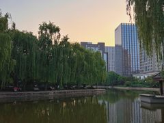 -团结湖公园