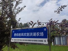 -洪湖家庭农场·团建·露营·会议