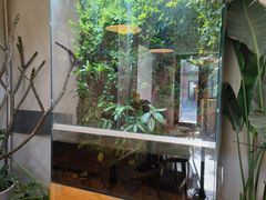 -小意思咖啡店(草桥店)