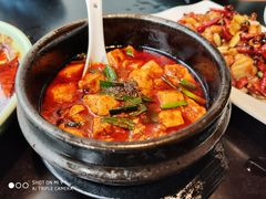 -陈麻婆豆腐总店