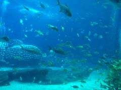 -广东省拱北口岸中国旅行社(华宾营业部)