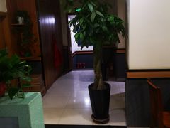 -顺华粉馆(桃园南路店)