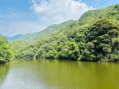 -雁南飞茶田景区