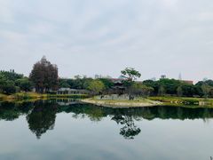 -四海公园(南山区)