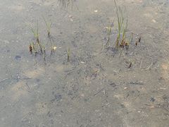 -北京鹿世界主题园