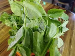 豌豆尖-唐哥冷淡杯(电子路店)