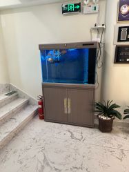 -海涛医疗美容·面部抗衰·注射美鼻