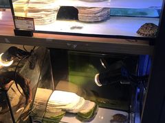 -仲盛世界商城