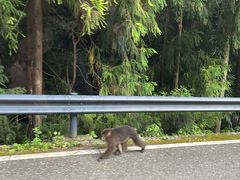 -西岭雪山大飞水景区