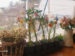 -京北渔家傲