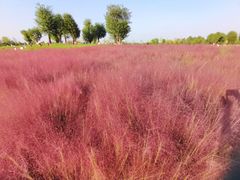 -汉长安城未央宫国家考古遗址公园