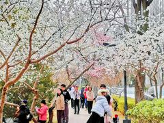 -安定门(地铁站)