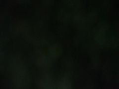 -共青国家森林公园-售票处