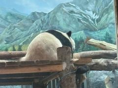 -武汉动物园